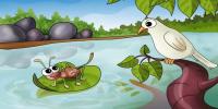 The Ant and the Dove বিষয়ক Story Writing নিয়ে আলোচনা, ৩য় পর্ব, এইচএসসির ইংরেজি ১ম পত্র
